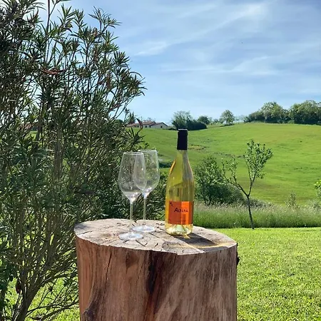 Maison De Pres De Marciac Troncens